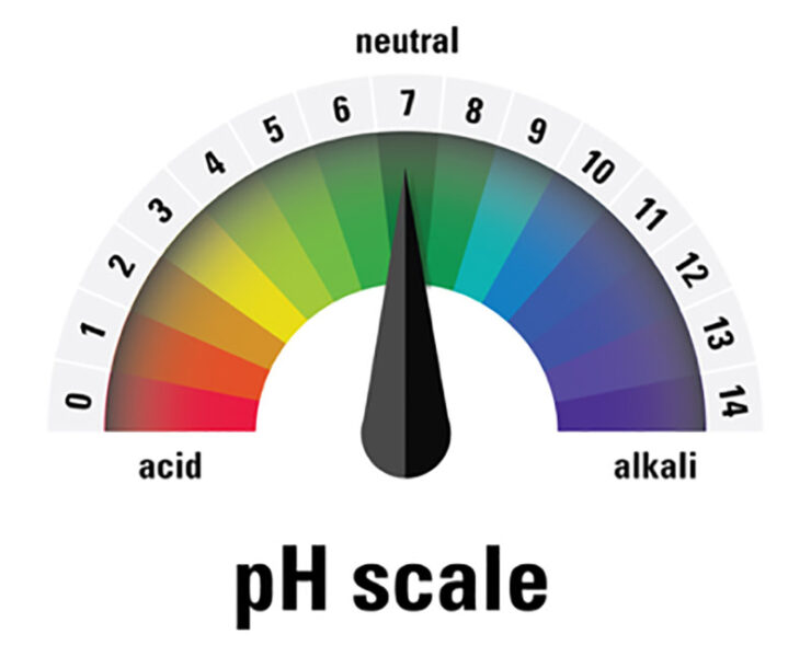 Una scala cromatica del pH basata sui colori dell'indicatore universale.