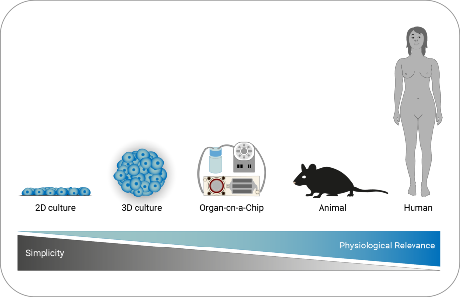 Different model systems used in biomedical research: 2D cell culture, 3D cell culture, organ-on-chip systems, animal models, and human studies.