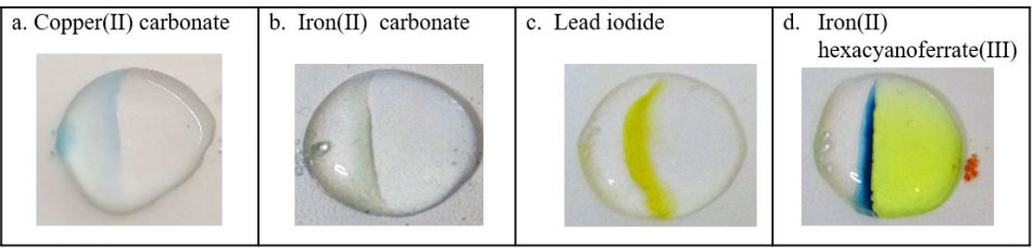 Different coloured precipitate lines are obtained with different metal salts: copper carbonate (pale blue), iron (II) carbonate (dark green), lead iodide (yellow), and iron (II) hexacyanoferrate (dark blue).