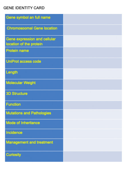 Este modelo para crear la carta de identidad genética incluye campos como nombre del gen, ubicación, mutaciones posibles, pero también información acerca de la proteína que se expresa: nombre, longitud, estructura, función. 