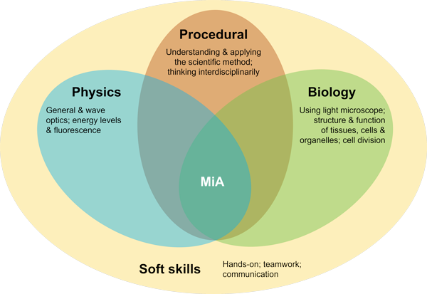 Physics skills: General and wave optics, energy levels and fluorescence. Procedural skills: Understanding and applying the scientific method, thinking interdisciplinarily. Biology skills: Using light microscope, structure and function of tissues, cells and organelles, cell division. Soft skills: Hands-on, teamwork, communication.