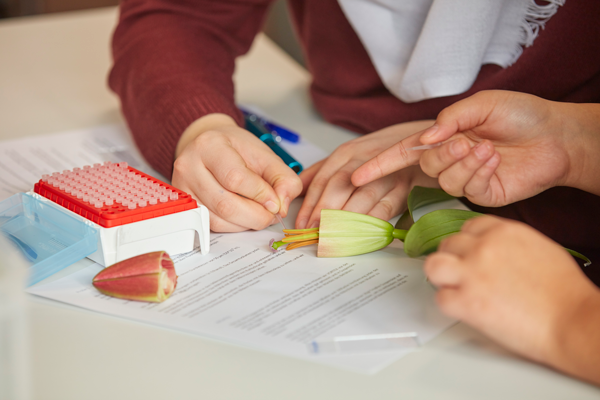 Students extracting a sample from a flower using micropipette tips.