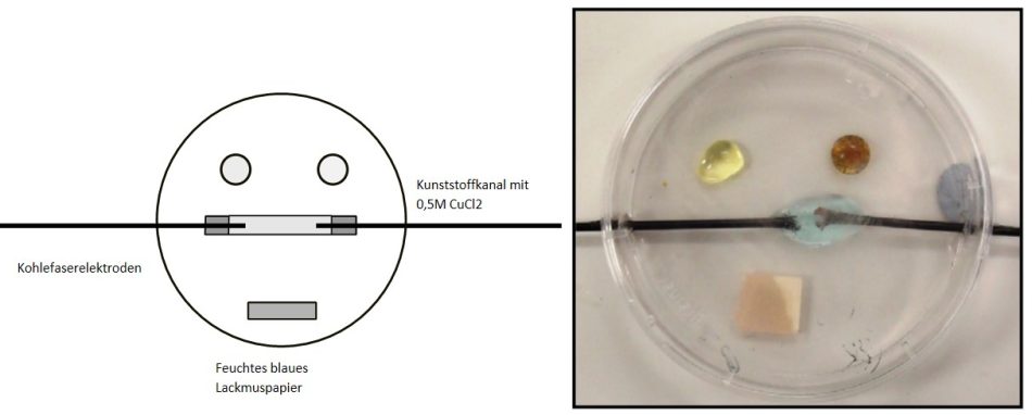 Ein mikroskaliger Aufbau für die Elektrolyse von Natriumchlorid oder Kupfer(II)-chlorid in einer Petrischale