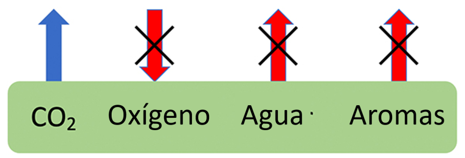 Esquema con el texto “CO2, oxígeno, agua, aromas” en un recuadro y las flechas señalando hacia adentro y afuera del recuadro.