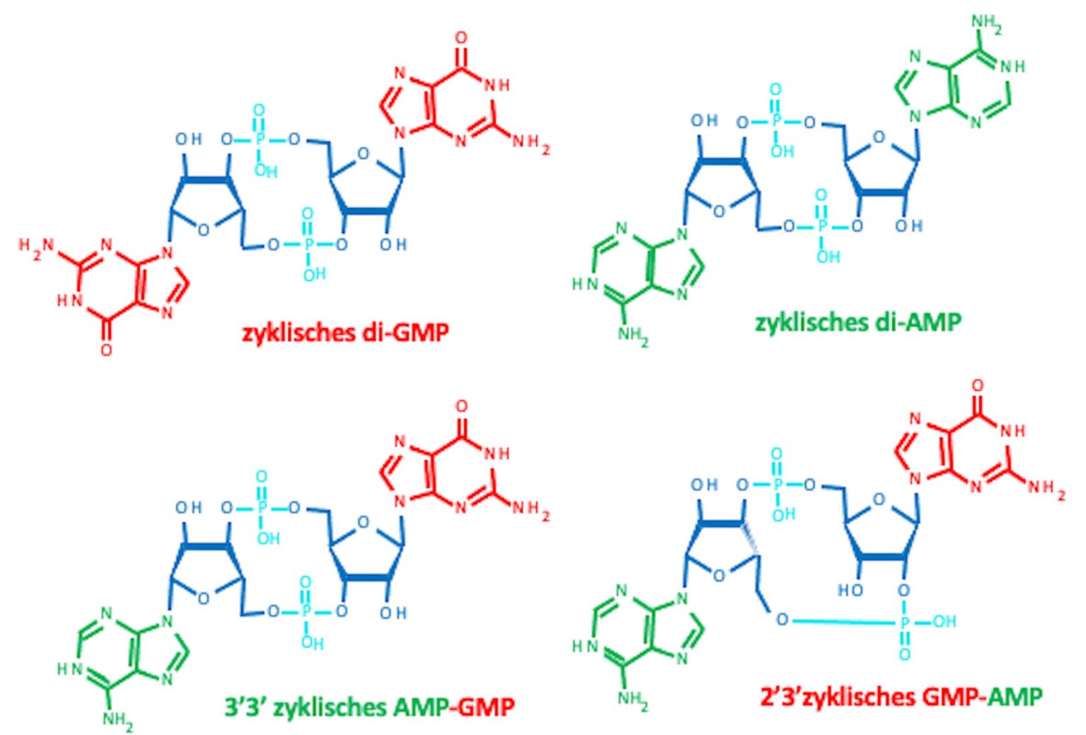 tief verwurzelte SignalWahrnehmungs und Übertragungs