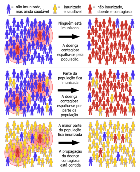 Imunidade de grupo: quando um número suficiente de pessoas fica imune, não há pessoas suscetíveis suficientes para a doença se propagar.