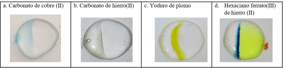 Obtendremos diferentes líneas coloreadas según sean las sales metálicas: carbonato de cobre (azul pálido), carbonato de hierro (II) (verde oscuro), yoduro de plomo (amarillo) y hexaciano ferrato de hierro (II) (azul oscuro).