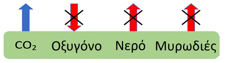 Διάγραμμα με κείμενο «CO2, οξυγόνο, νερό, μυρωδιές» σε ένα πλαίσιο και βέλη που δείχνουν προς και από το πλαίσιο.