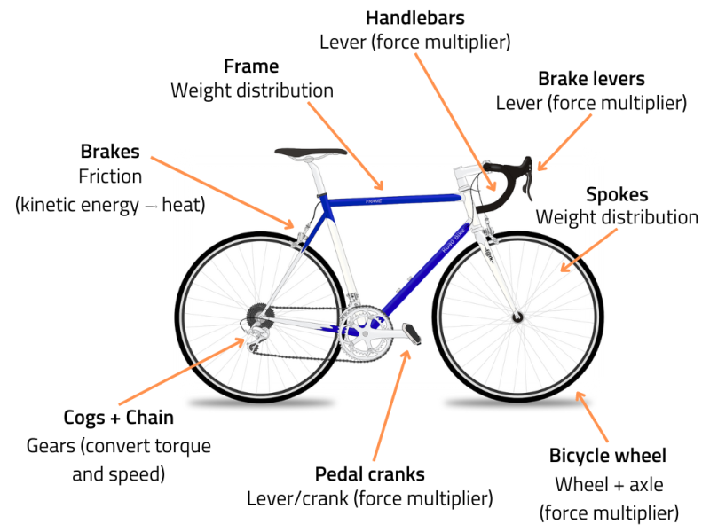 scheme of a bike with its parts and their function. Frame and spokes: weight distribution. Handlebars, brake levers, Bicycle wheels, Pedal cranks: force multiplier. Cogs and chain: convert torque and speed. Brakes: convert kinetic energy into heat. 