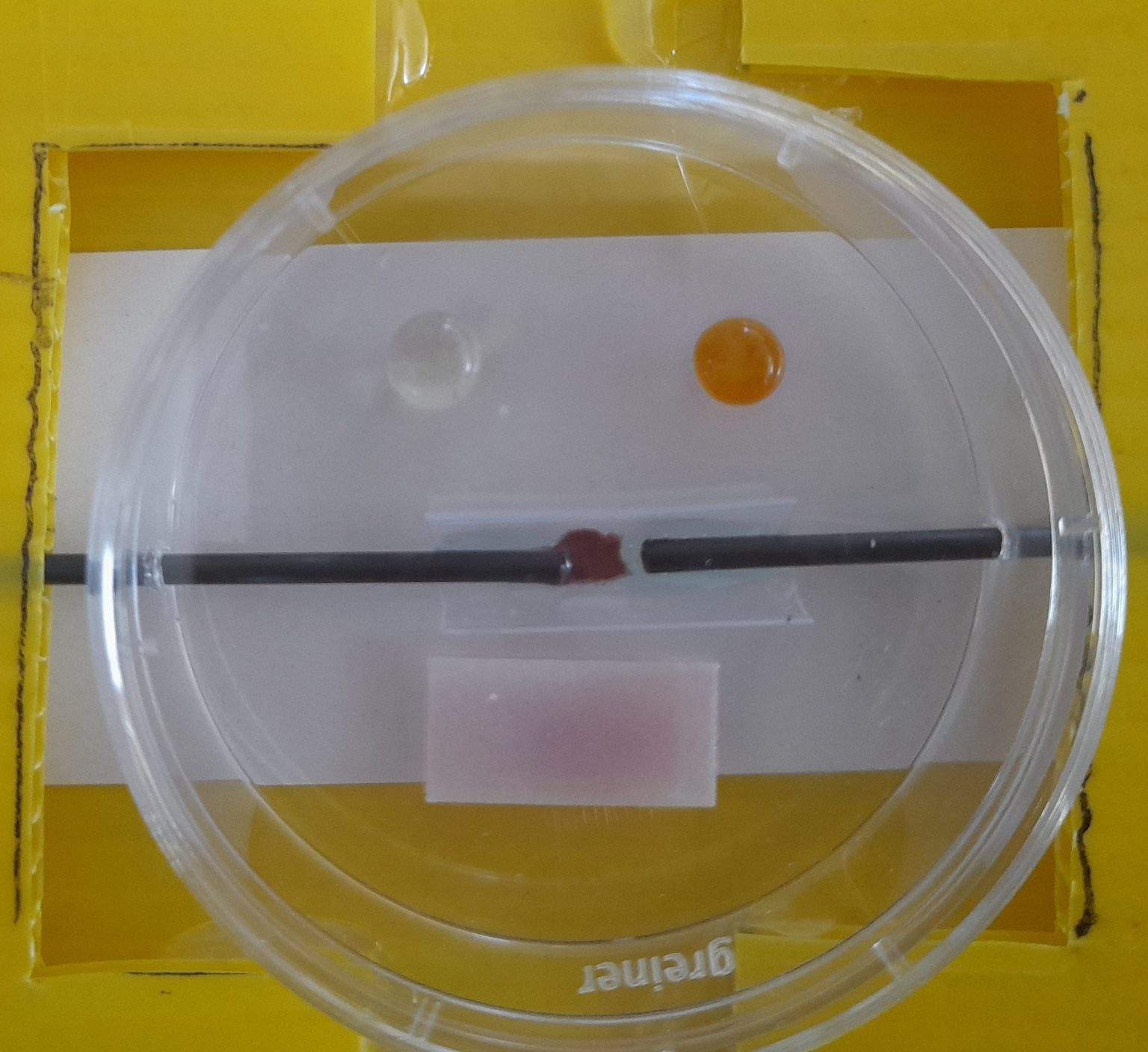 Elegant electrolysis the microscale way Science in School