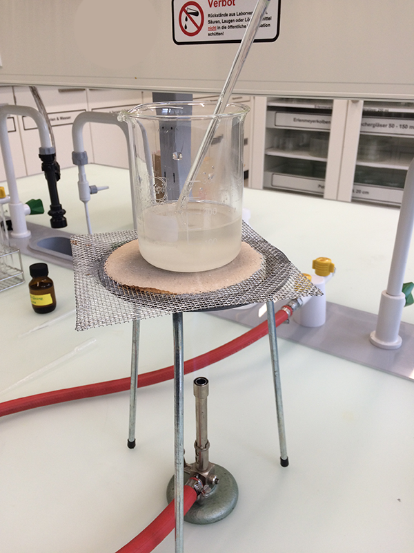 To bee or not to bee the chemistry of honey Science in School