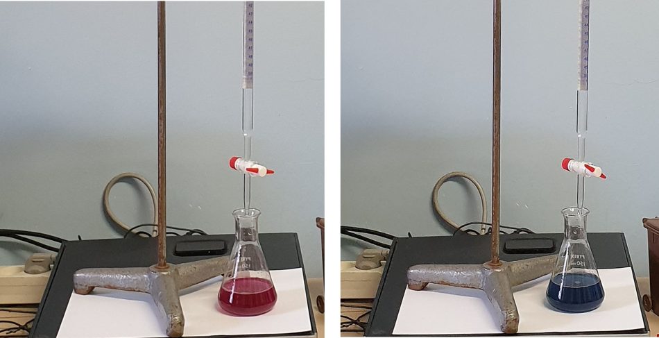 tap water vs bottled water research paper