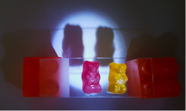 Two gummy bears sitting in between two lego, illuminated with white light and casting two shadows.
