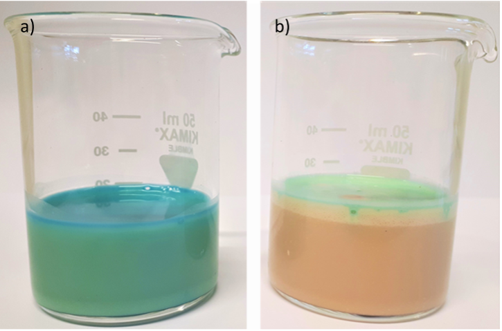 A beaker containing a blue liquid (a) and another beaker containing a beige liquid (b).