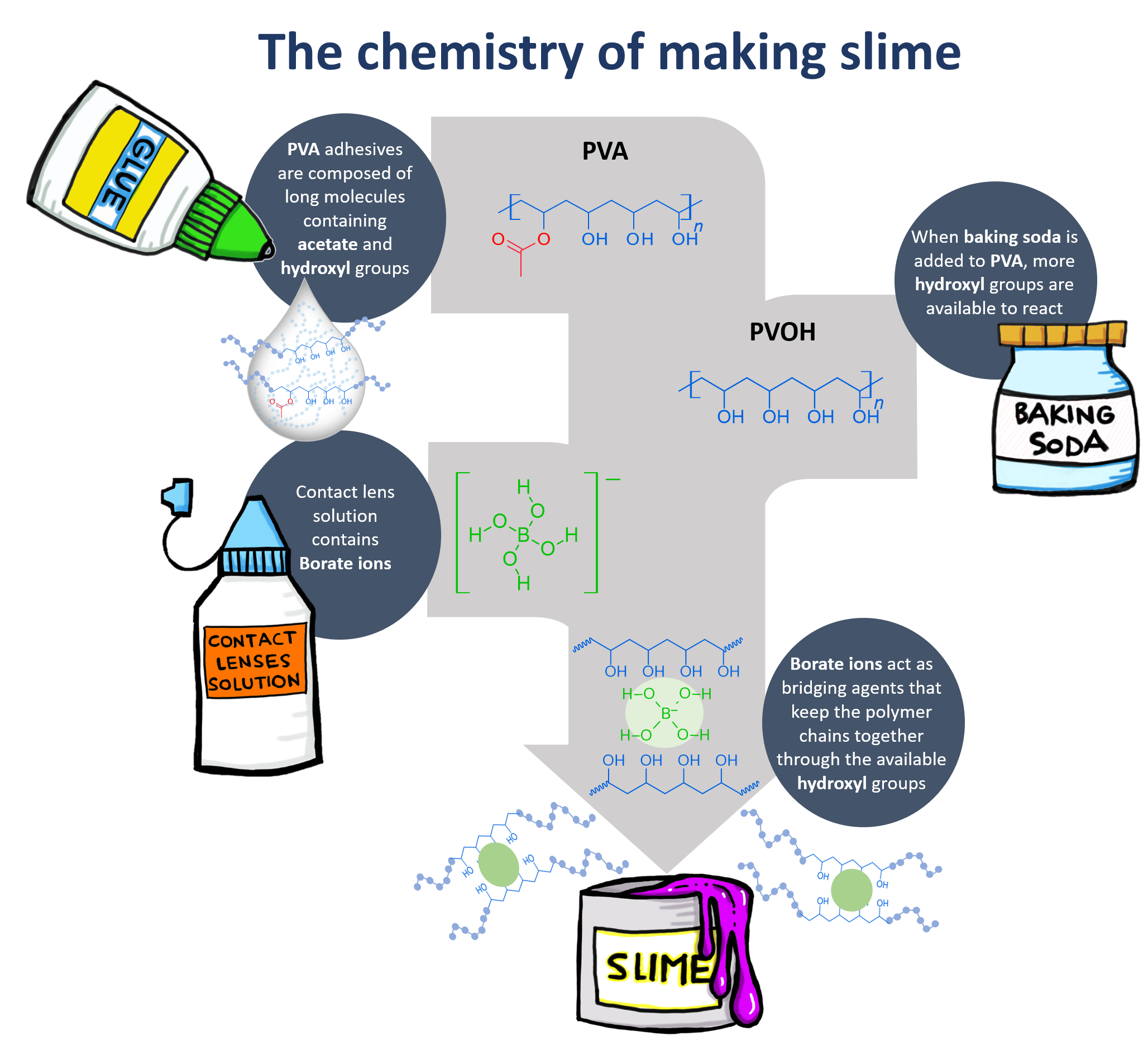 The chemistry of making slime: PVA adhesives are composed of long molecules contianing acetate and hydroxyl groups, which are available to react when adding baking soda. Contact lens solution contains Borate ions that act as bridging agents by keeping the polymer together though the hydroxyl groups.