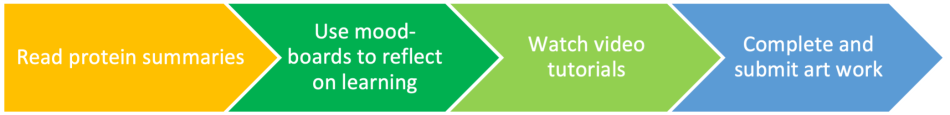 Stage 1: Read protein summaries
Stage 2: Use mood-boards to reflect on learning
stage 3: Watch video tutorial
Stage 4: Complete and submit artwork