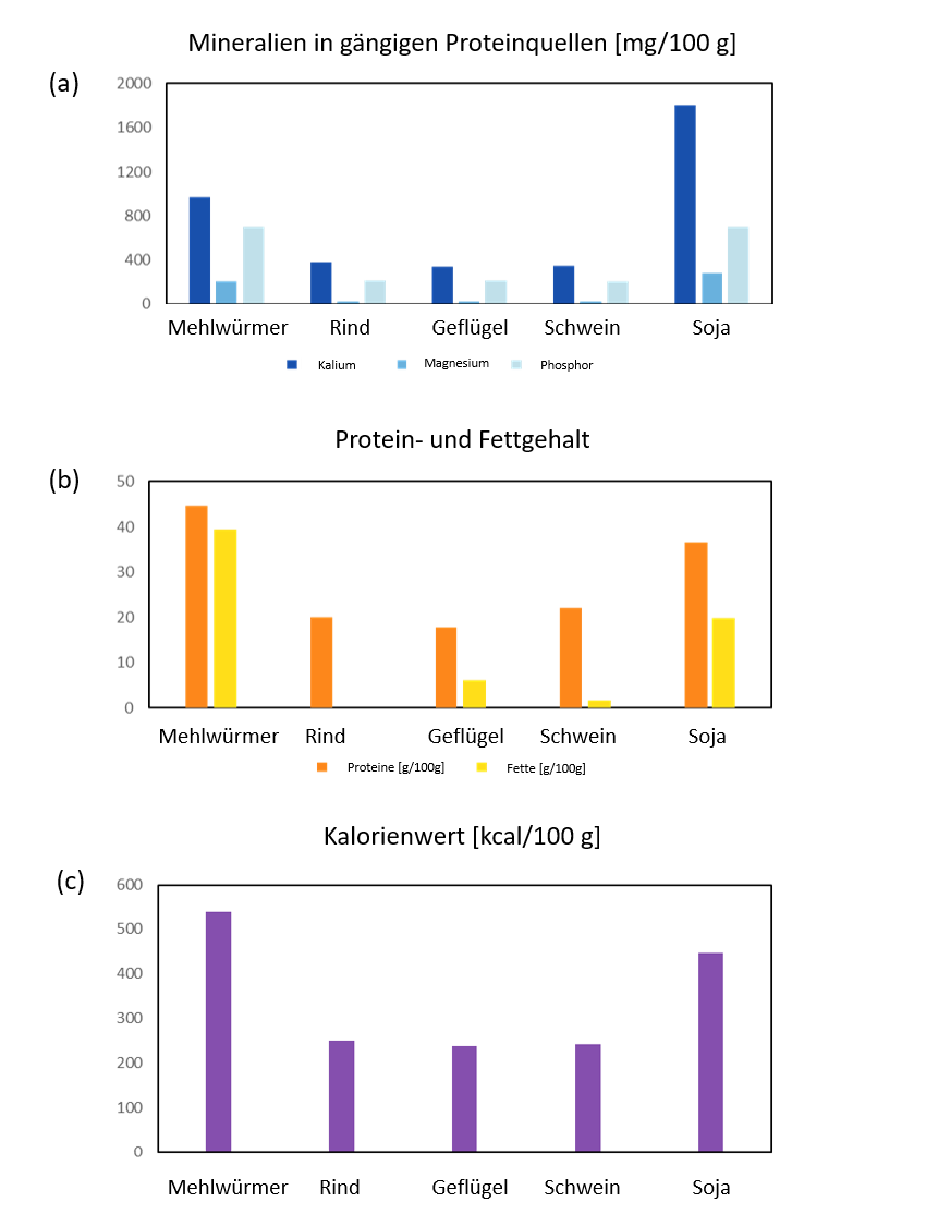 a) Es ist doppelt so viel Kalium in Sojabohnen enthalten, wie in den anderen Nahrungsmitteln, aber die Magnesium- und Phosphorgehalte sind ähnlich hoch wie bei Mehlwürmern; b) Mehlwürmer haben einen höheren Protein- und Fettgehalt als der Rest; c) Mehlwürmer haben einen höheren Kaloriengehalt verglichen mit dem Rest. 