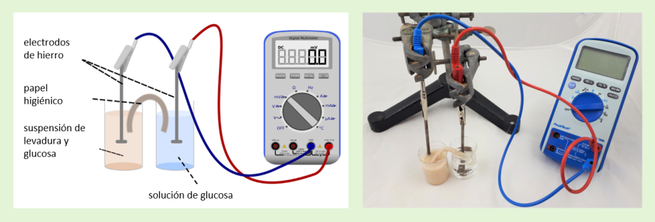 Imagen de un dispositivo electrónico que muestra cómo la levadura para hornear actúa como un biocatalizador.