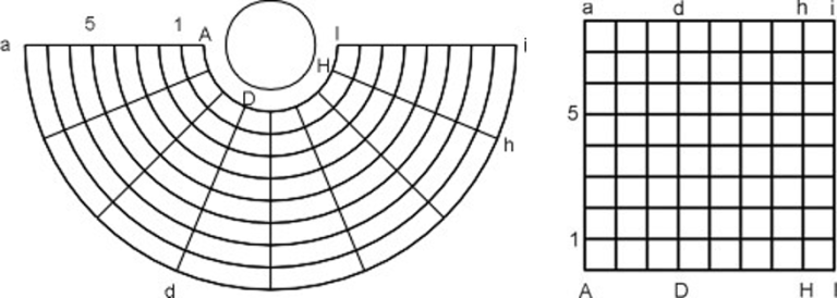 Exploring anamorphosis: revealing hidden images with mirrors ...