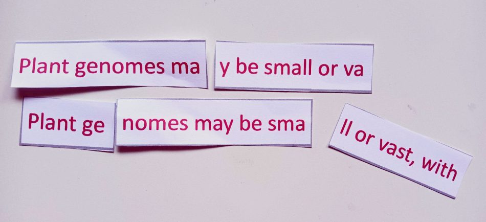 Image depicting Exercise 1 texts to assemble.