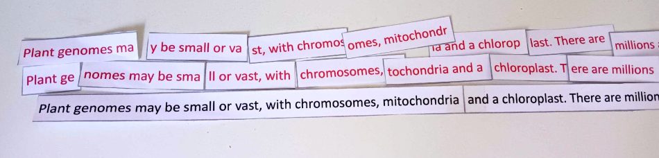 Image depicting Exercise 2 texts to assemble.