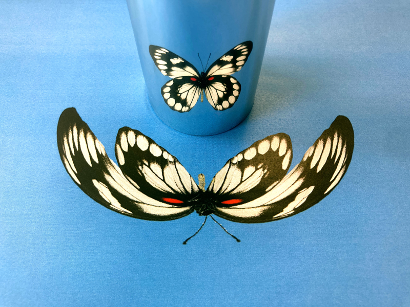 Metal cylinder reflecting the distorted image of a butterfly on a blue background.