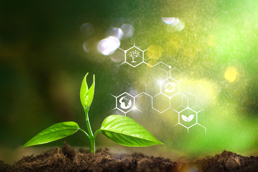 Natural green plants with biochemistry structure illustration.